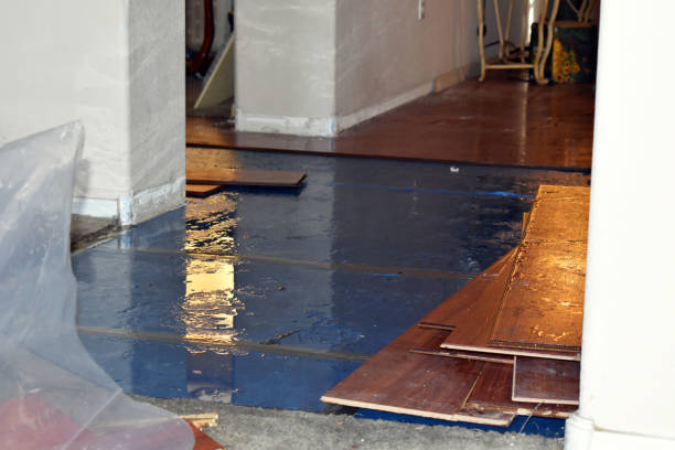 Professional Water Damage Restoration technician working in Sanborn, ND